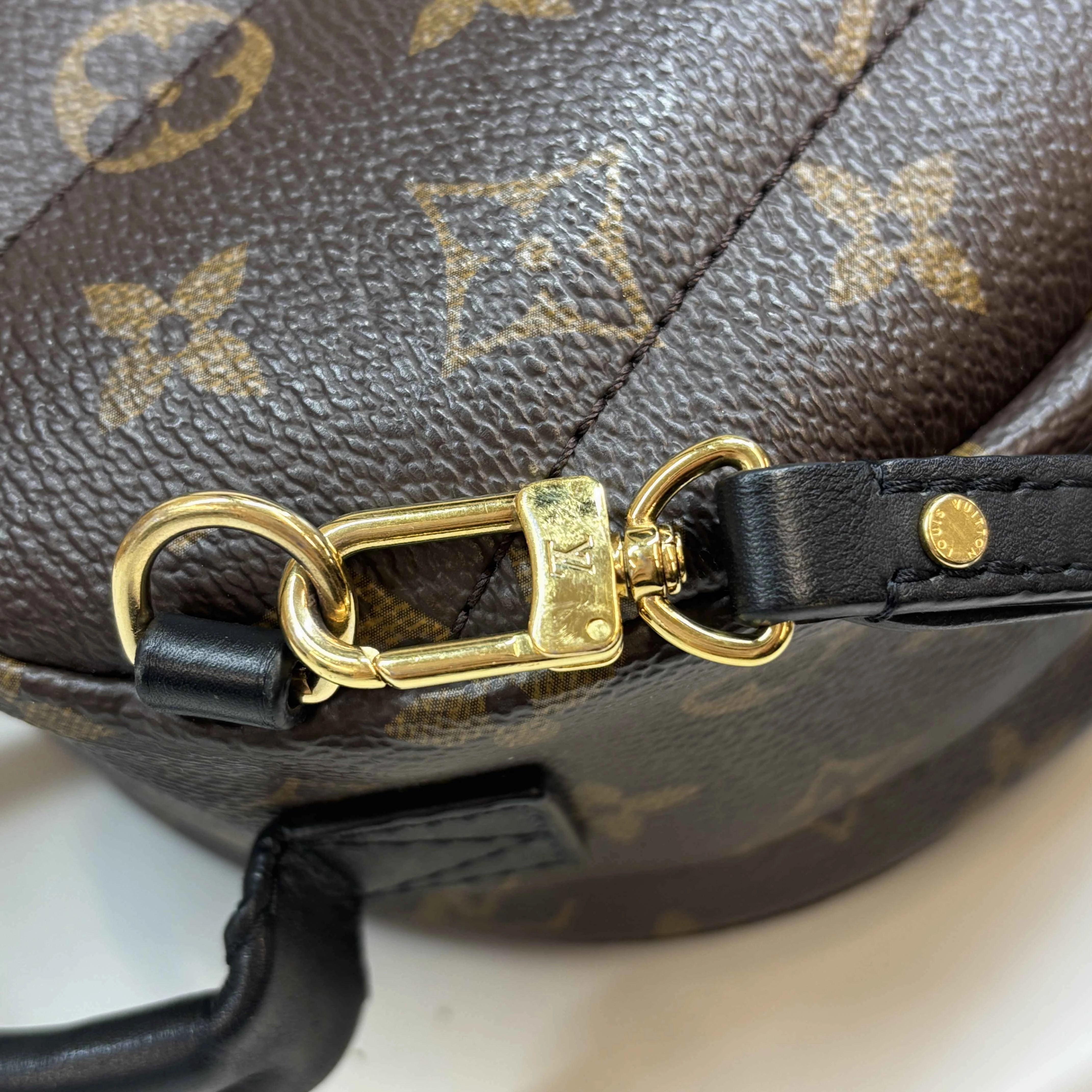 Women's Monogram Palm Springs Mini Backpack Brown