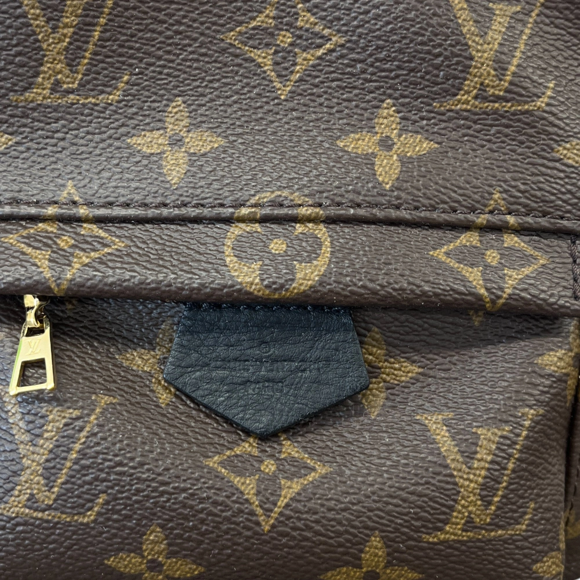 Women's Monogram Palm Springs Mini Backpack Brown