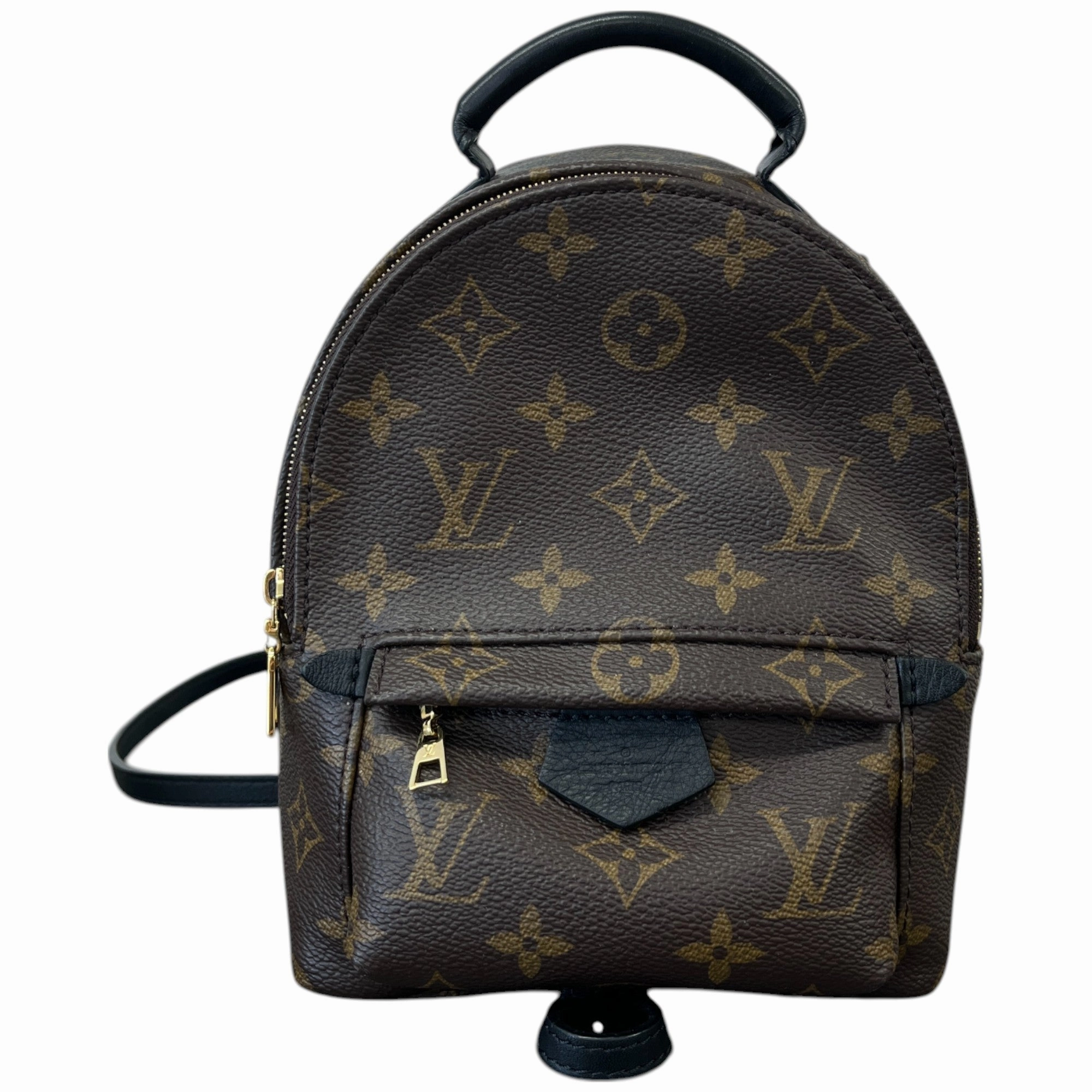 Women's Monogram Palm Springs Mini Backpack Brown