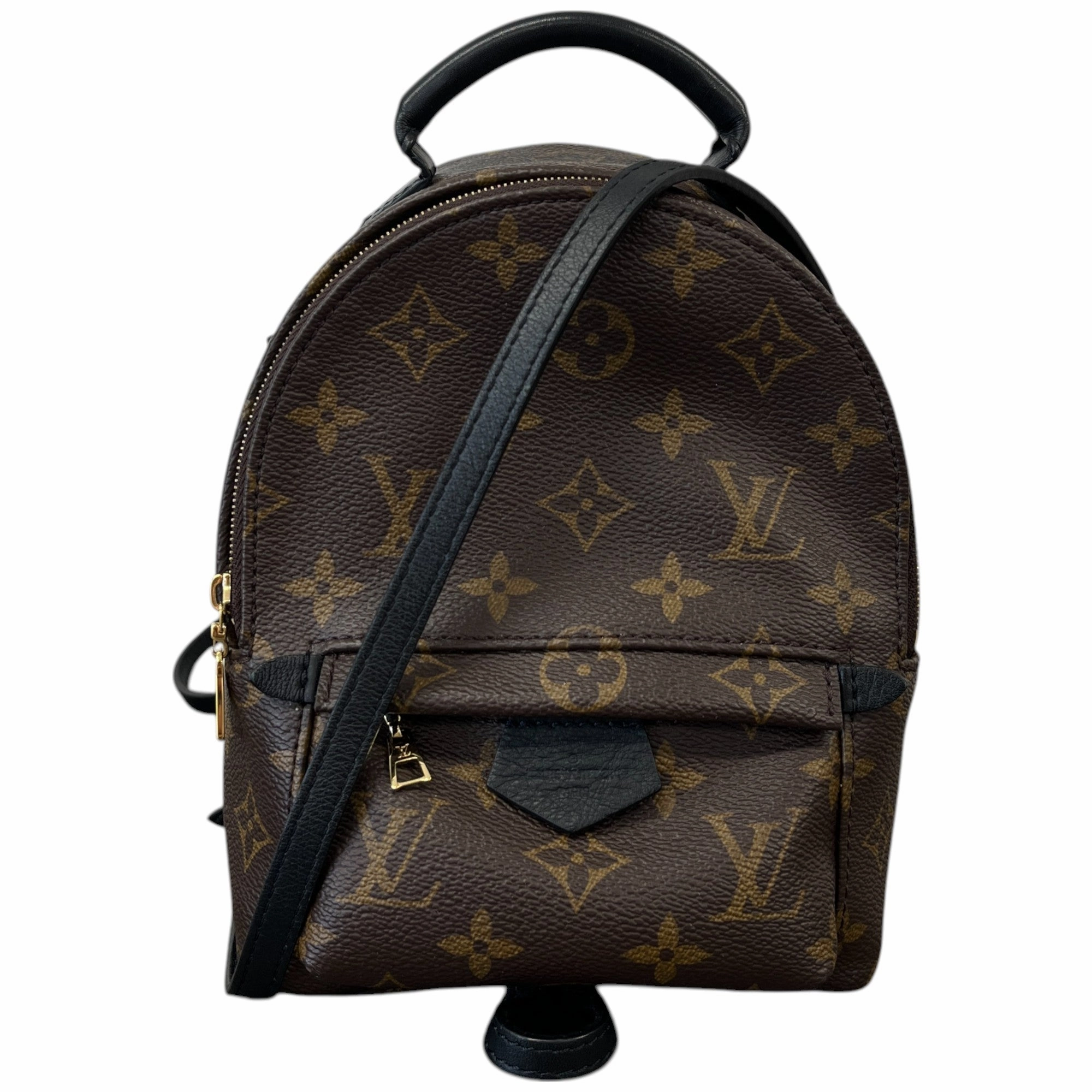 Women's Monogram Palm Springs Mini Backpack Brown
