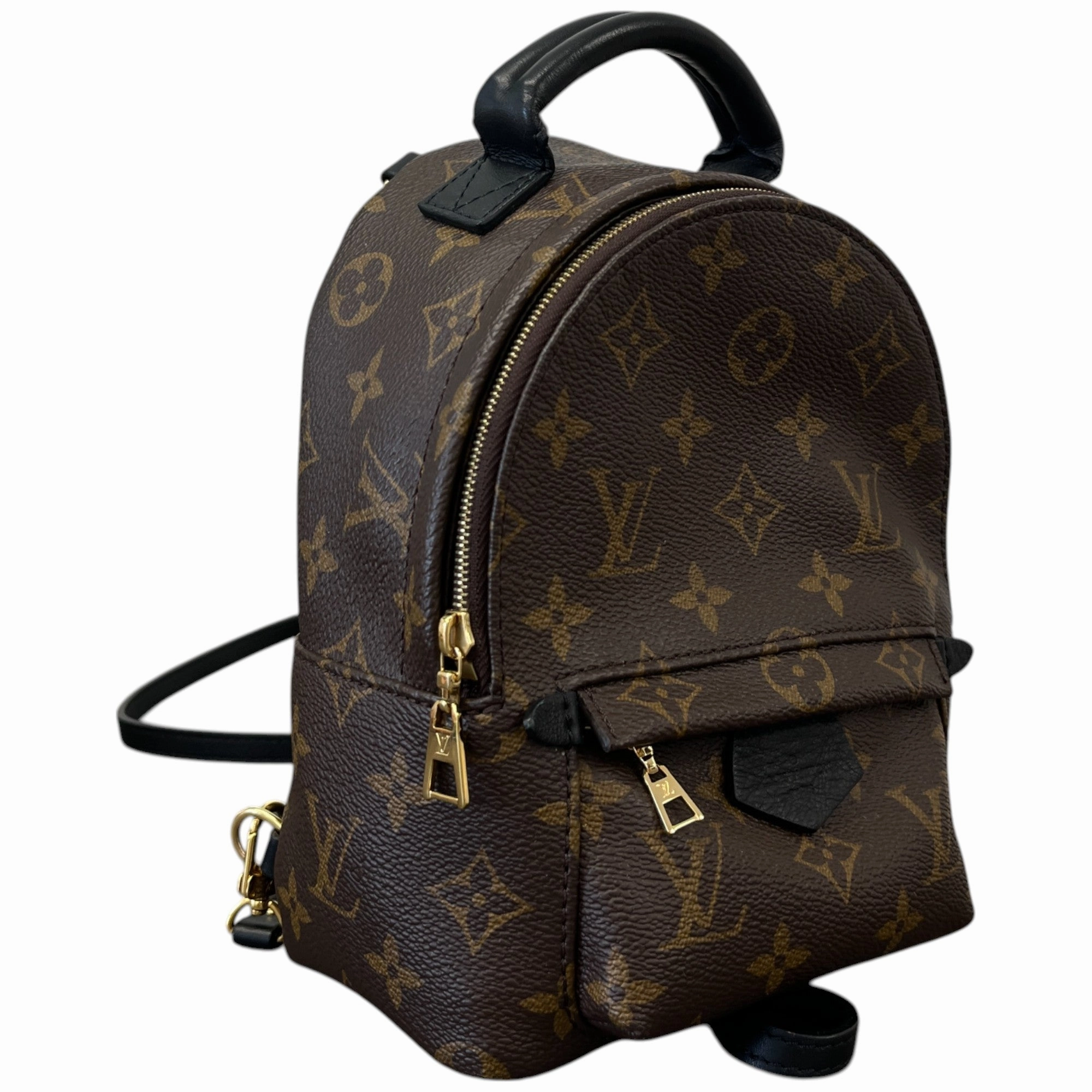 Women's Monogram Palm Springs Mini Backpack Brown
