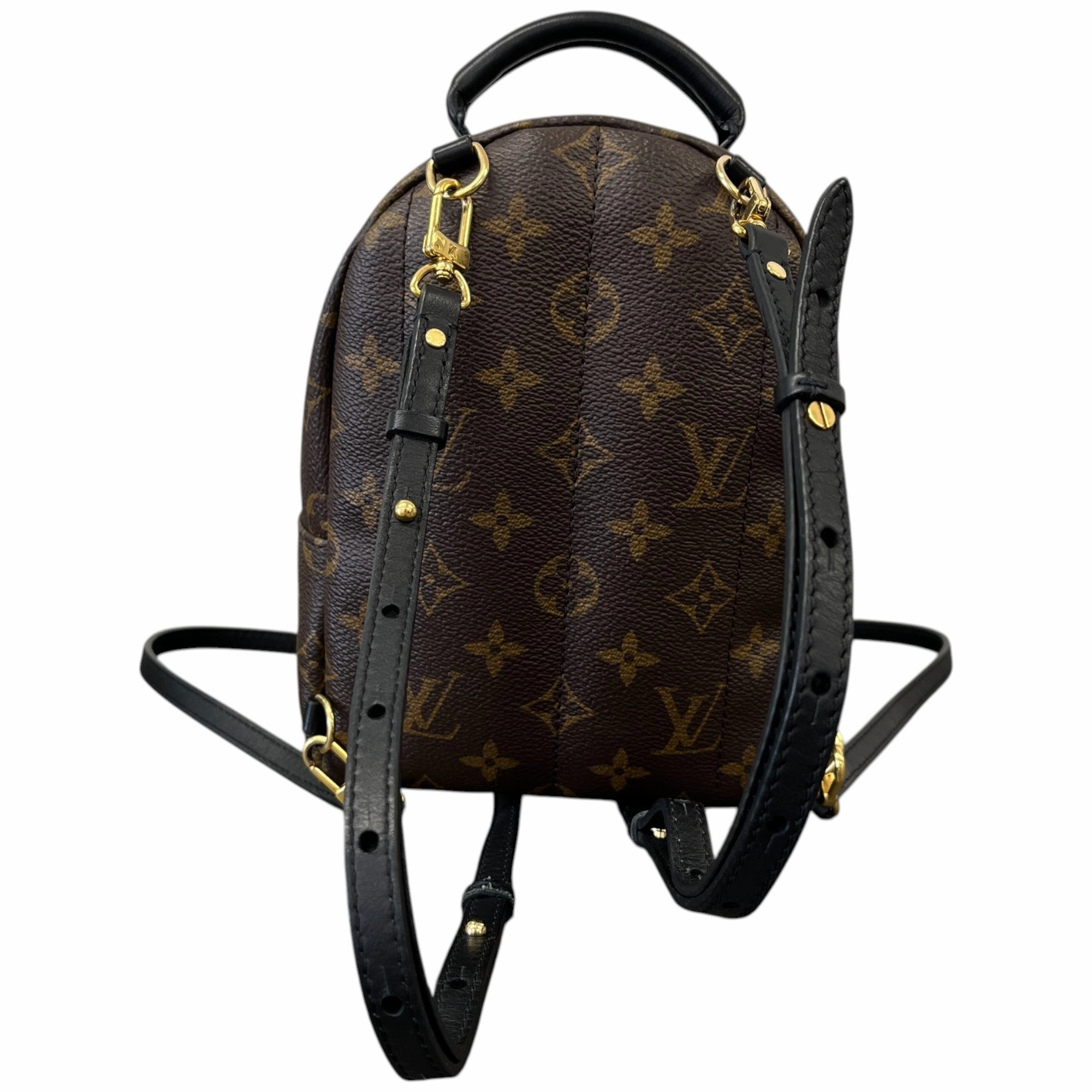 Women's Monogram Palm Springs Mini Backpack Brown