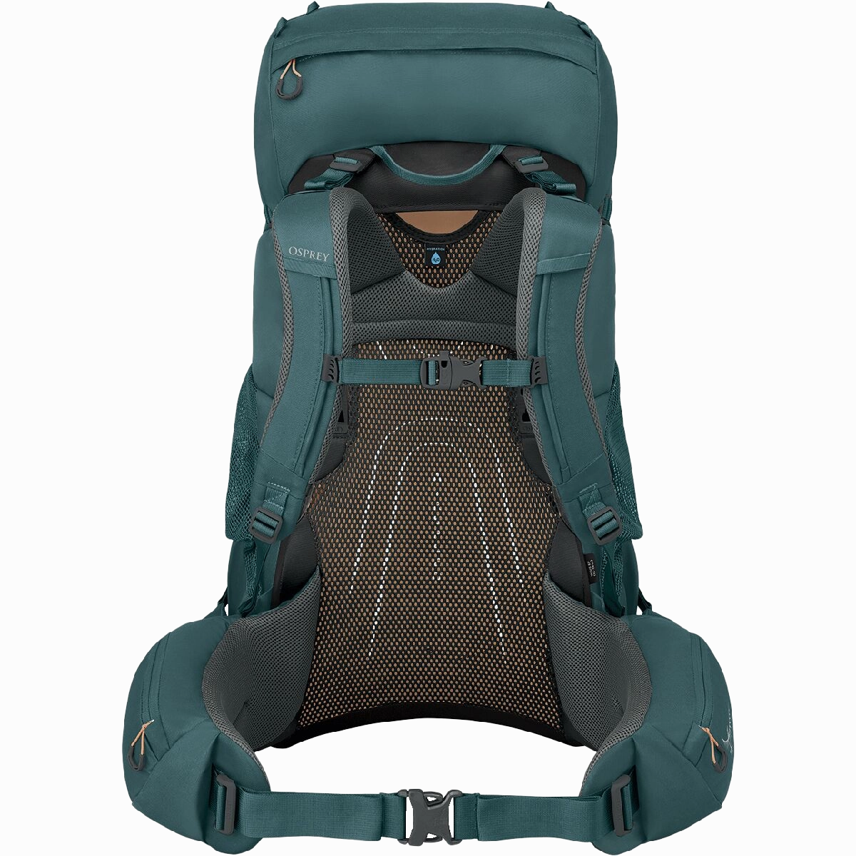 Women's Renn 65L EF
